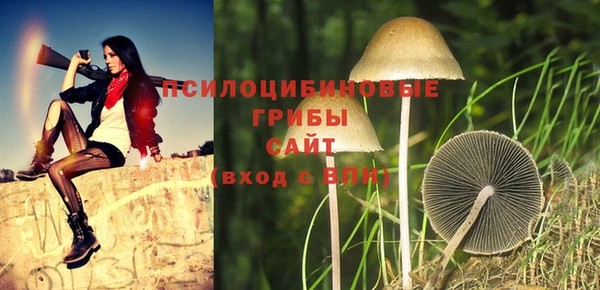 герыч Арсеньев