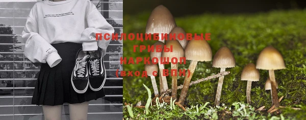 спайс Аркадак