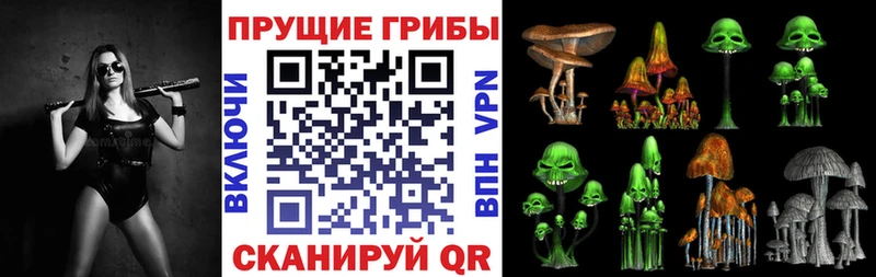 МЕГА онион  Строитель  Псилоцибиновые грибы мухоморы  цены  